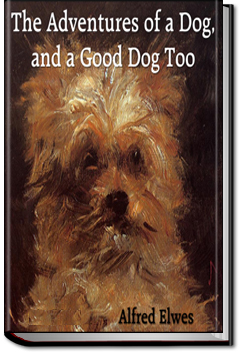 The Adventures of a Dog, and a Good Dog Too | Alfred Elwes